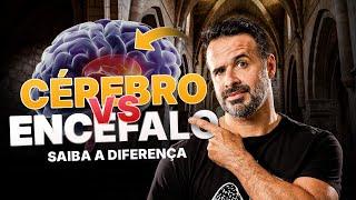 VOCÊ SABE A DIFERENÇA ENTRE CÉREBRO E ENCEFALO? - #anatomiafacil