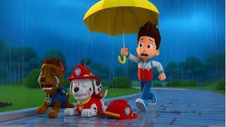 Marshall are you okay ??? I'm here to take you home | Paw Patrol Ultimate Rescue