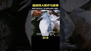 原始部落的因紐特人如果生老病了怎么辦，老人逝世會怎么處理。 #即錄觀世界 #紀錄片 #電影 #北極 #因紐特人