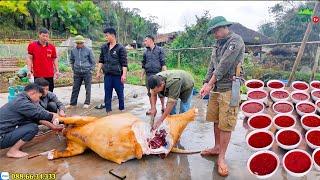 Mổ Bò Chuẩn Bị Đám Cưới, Các Cao Thủ Đánh Hàng Mâm Bát Tiết Canh - Đám Cưới Người Tày Lục Yên