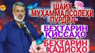 Шайх мухаммадсолехи Пурдил. شیخ پردل.بهترین احادیث.Shayh MuhammadSolehi Purdil. 2021.sheikh pordel.