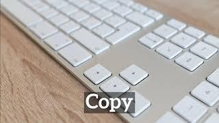 What is Copy? | How Does Copy Look? | How to Say Copy in English?