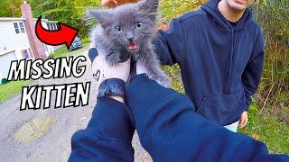 Found Missing Kitten On The Road