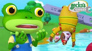 Dandy Dog Dangling Disaster! | Gecko's Garage | Trucks For Children | Cartoons For Kids