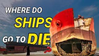 Where Ships Go To Die?