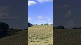 Amazing supercool wavy field freshly cut