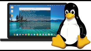 Восстановление данных в Linux с помощью Foremost.