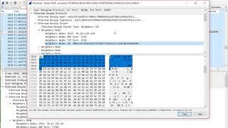 Ethereum Engineering Group: Demo of devp2p Wireshark Dissector