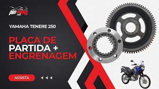 PLACA DE PARTIDA C/ ENGRENAGEM - YAMAHA TÉNÉRÉ 250 | Pro Store Motos