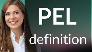 Pel | what is PEL definition