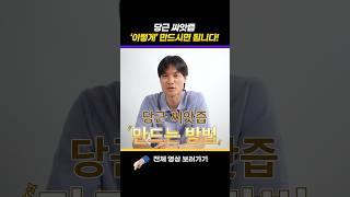 당근 씨앗즙 '이렇게' 2주만 드셔 보세요! 뇌세포 살리고 항암 보약이 됩니다! #shorts