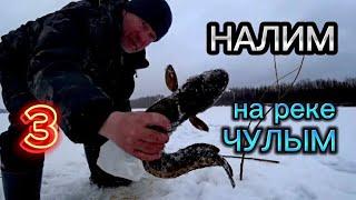 Проверка поставушек на НАЛИМА. Финальная. Река ЧУЛЫМ.