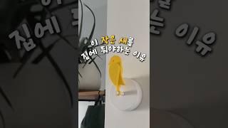 집중못하는 아이에게 추천해요! 공부하는 아이방 꾸미기 예쁘고 실용적인 인테리어 아이템 #집들이선물 #방꾸미기 #인테리어
