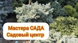 Садовый центр МАСТЕРА САДА/Хвойные,гортензии, многолетники