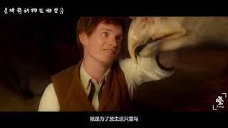 Fantastic Beasts and Where to Find Them（ 神奇动物在哪里 ）