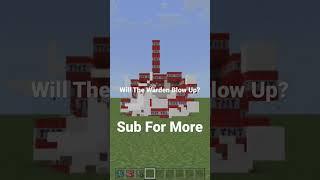 Will He Blow Up?  #minecraft #shorts