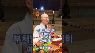 목소리가 좋아진다? 부처님을 섬기면 얻는 두번째 이익 - 동명스님 법담 #염불 #서울송파불광사 #인생조언