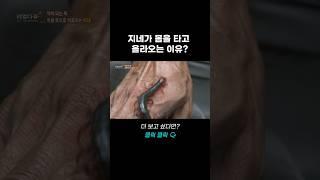 지네가 몸을 타고 올라오는 이유? | 리얼다큐 숨