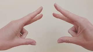 Snailplay Demonstration