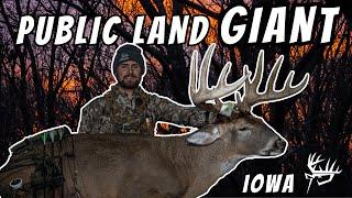 Iowa Public Land Giant