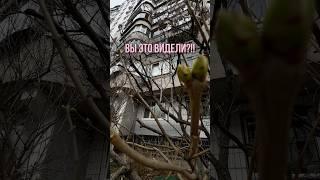 Вы это видели? В моем профиле видео о том, как находить идеи для блога #блог #контент #сторис #идея