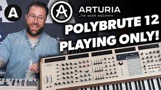 Arturia Polybrute 12 Playing Only - Perfect for Atmospheric Sound Design!