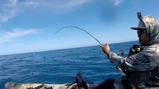 KAYAK FISHING HAWAII | Shibi, Shibi, Shibi