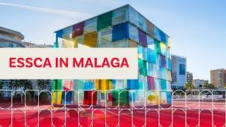 ESSCA is coming to Malaga