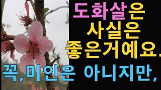 도화살 진짜 의미  이것만 알아도 패가망신? 주색잡기? 바람 같은거 안납니다.