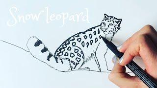 How to draw a snow leopard easy