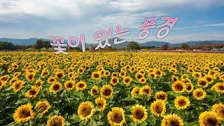 마음풍경 꽃이 있는 풍경2