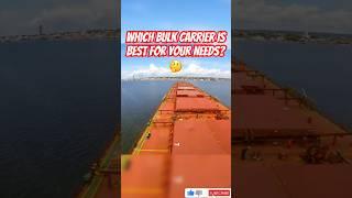 Bulk Carrier Types Explained in 1 Minute!  DWT Breakdown #shorts #bulkcarrier