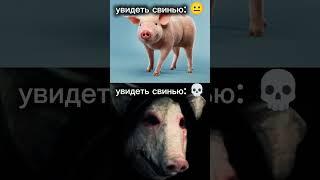 свинтус придёт #свинья #свинтус #мем