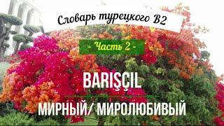 Полный словарь турецкого _ Уровень В2 - часть 2 _ 212 день