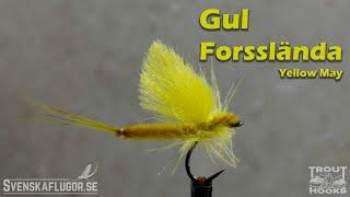 Gul Forsslända | Yellow May | Flugbindning | Svenskaflugor.se