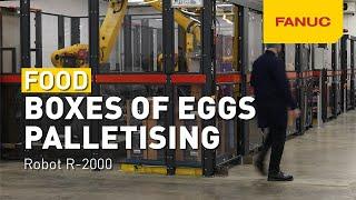 GET IT DONE. TOGETHER! Boxes of eggs automated palletising | CSi Palletising & FANUC