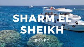 Sharm el Sheikh, Egypt ► Video guide, 14 min. | 4K