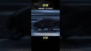為了干掉自己的父親刃牙竟然拜蟑螂為師？#動漫 #動漫解說 #動漫推薦 #刃牙 #范馬刃牙 #動漫解說 #動畫解說 #電影解說 #拳願阿修羅 #動漫