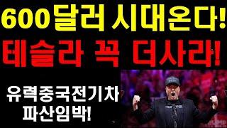 테슬라 600달러 시대가 온다! 2-3년간 강력한 상승장! 테슬라 꼭 더사라! 유력 중국전기차 업체 파산임박! 연쇄 파산 이어지나? 테슬라의 절호의 기회!