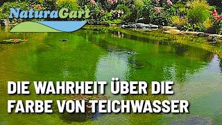 Norbert Jorek - So sieht ideales Wasser aus - Referat: NaturaGart-Messe 2019, Teil 1