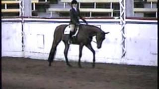 Arttic Moves Showing