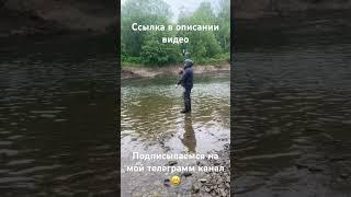 Мой телеграмм канал   https://t.me/beregsakhalina. #нахлыст #fishing #рыба #сахалин #сима #туризм
