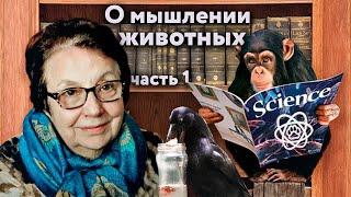 Отчего люди не решают как птицы