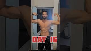 Day 16/75 hard #75hardchallenge #fitness #gym #workout #calisthenics #motivation #bodybuilding