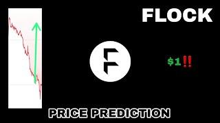 FLOCK COIN TO THE MOON‼️ FLOCK.IO PRICE PREDICTION $1 IS REAL⁉️ POTENTIAL BINANCE ALPHA PROJECT⁉️