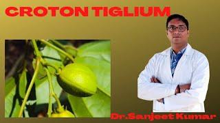 Tutorial 50- CROTON TIGLIUM