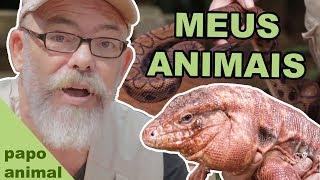 PAPO ANIMAL #1 - QUEM SÃO OS ANIMAIS DE SERGIO RANGEL?