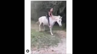 funny videos food was the only thing on its mind 