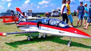 HUGE XXXL RC MODEL L-39 ALBATROS / SCALE MODEL TURBINE JET / FLIGHT DEMONSTRATION