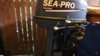 SEA-PRO 30 мелкие косяки начинают доставать.